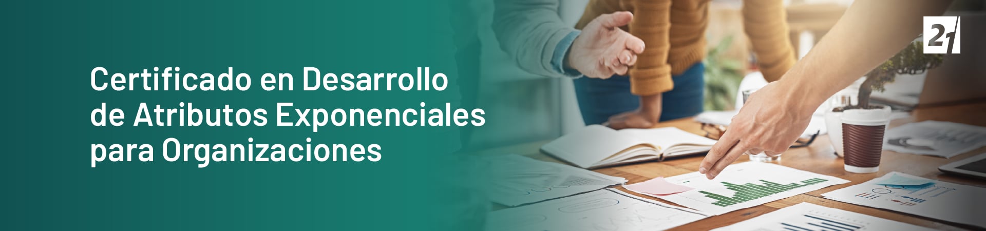 Header Desktop Certificado en Desarrollo de Atributos Exponenciales para Organizaciones